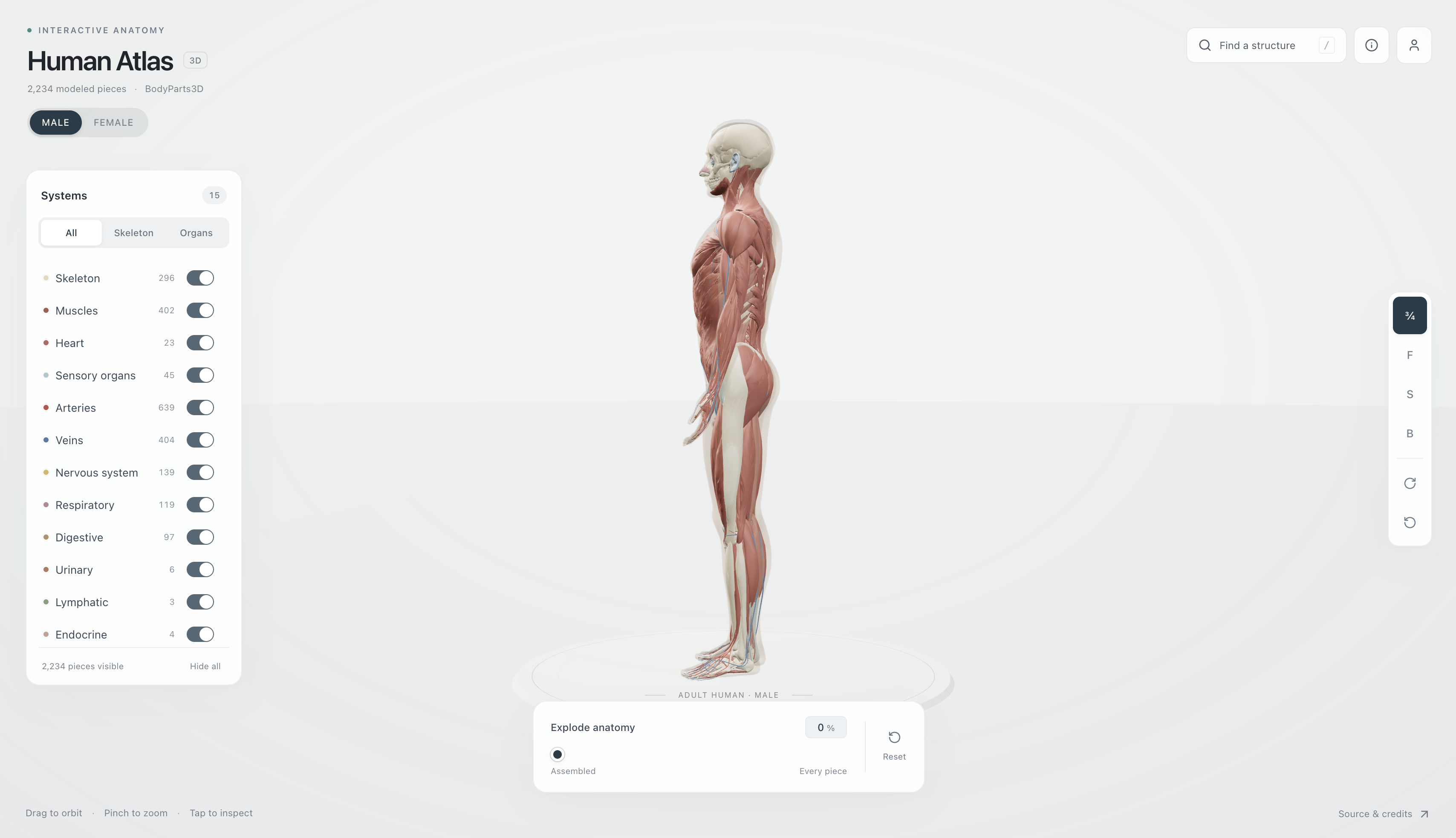 Human Atlas (3D Anatomy Explorer)